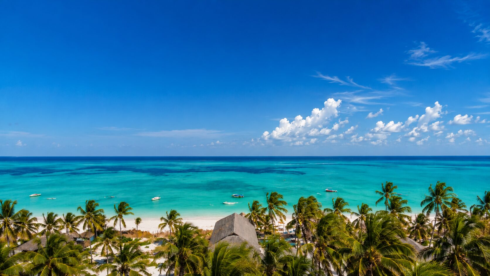 Aerial view of a Zanzibar beach