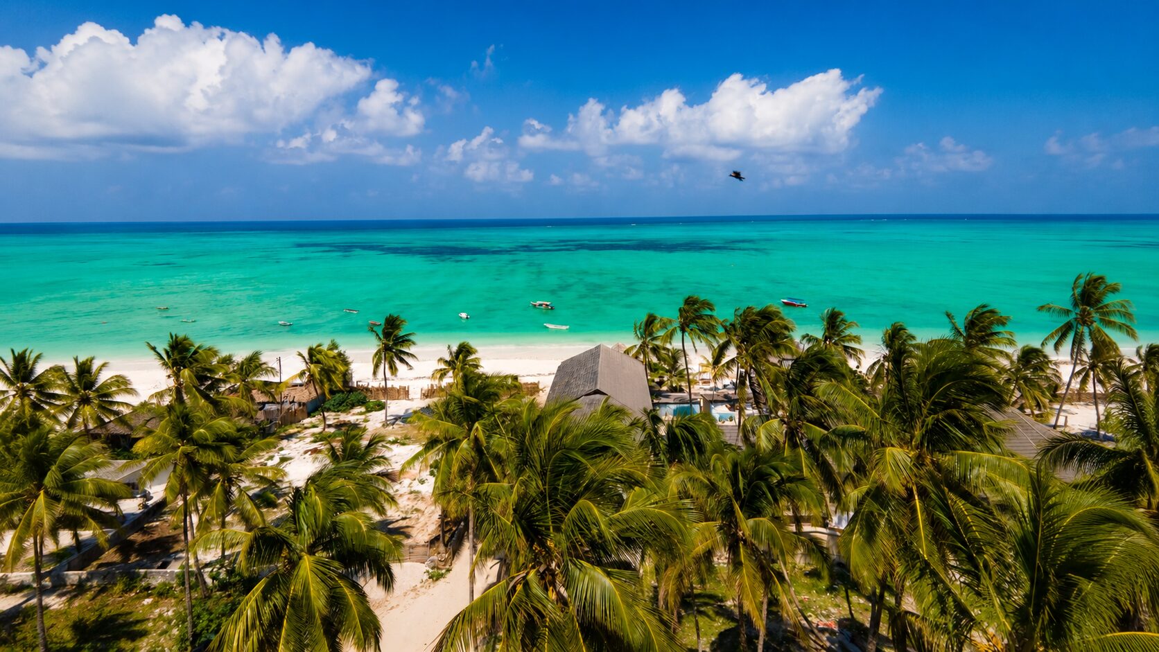 Zanzibar beach and turquoise sea