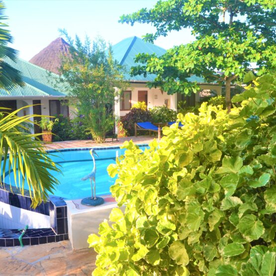 Properties for Sale in Zanzibar Zaneda Properties